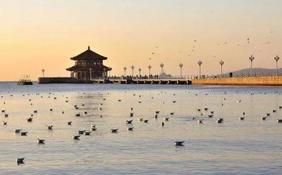山东省文旅厅公示，青岛这些单位入选