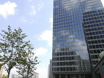 11月青岛新建商品住宅成交环比止跌    12月高品质改善产品受关注         