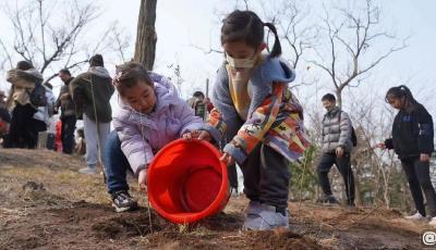 “植”此春绿！青岛线上线下“双线”联动 掀起植树护绿高潮