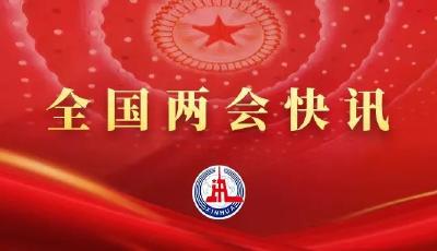 十四届全国人大一次会议闭幕