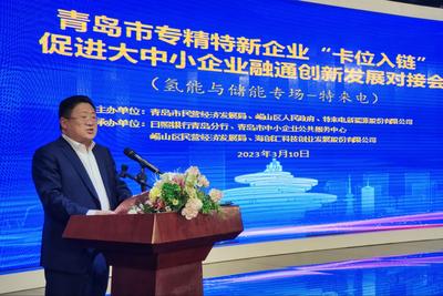 链主企业发布34类合作需求！青岛这场对接会引爆各资源方合作热情