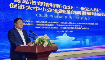 链主企业发布34类合作需求！青岛这场对接会引爆各资源方合作热情