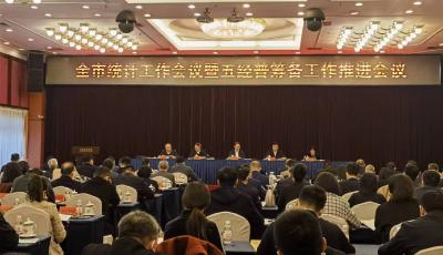 青岛：今年统计工作打好“四场硬仗” 打造统计现代化调查体系