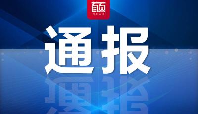 关于“3·21”东航MU5735航空器飞行事故调查进展情况的通报
