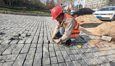 现场：提升城市绿肺  浮山森林公园建设如火如荼