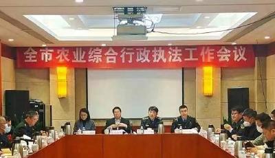 青岛市农业行政执法支队：培树基层执法示范 提升队伍执法水平