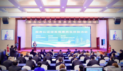 477张证书！青岛市交出服务认证满分答卷