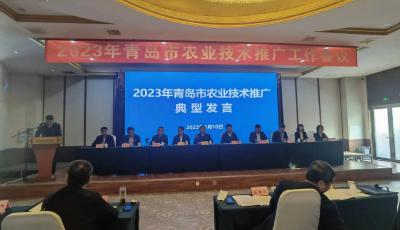 青岛市发布农业技术推广十大创新技术成果及十大典型案例