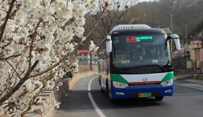 “开往春天的巴士”已发车