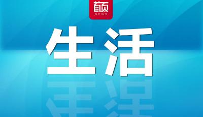 崂山东部居民出行更便捷！青岛这条沿海旅游公交开通区间车