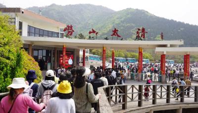 青岛崂山风景区纳客6.5万，文旅活动、优质服务、配套业态愈演愈热