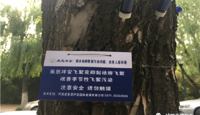 统筹谋划多措并举 打好杨柳飞絮防控阻击战 