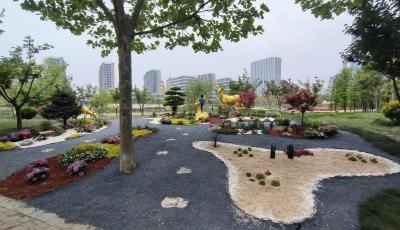 助力城市微更新！青岛21处花境扮靓“五一”假期