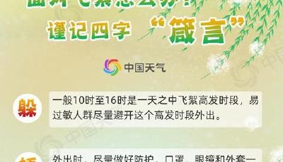 2023杨柳絮预警地图来了 这些地方将进入高发期  