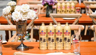 青啤“天团”约您品鉴“春日第一口鲜”！青岛啤酒原浆尝鲜季活动启动啦