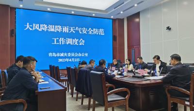青岛市减灾委员会办公室召开大风降温降雨天气安全防范工作调度会