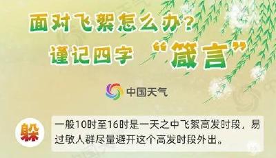 飞絮预警！京津地区即将进入飞絮高发期 一图了解防护指南