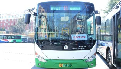 青岛公交增发“游园观光专线”邀您共赴春光！