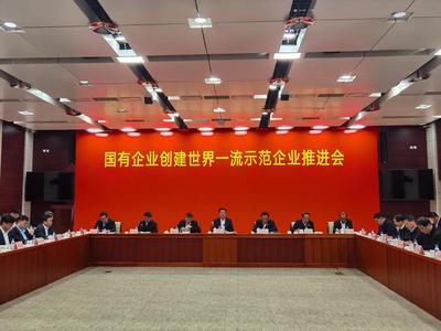 加快建设世界一流企业，国资委确定28个“示范生”