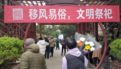 青岛：清明节单日祭扫人数11万余人     