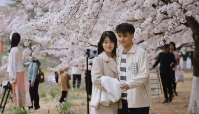 如云似雪  共赴芳华