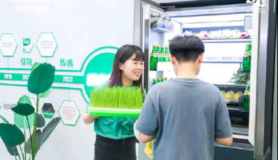 嵌入式冰箱消费大潮来袭 618冰箱选购思路帮你整理好了