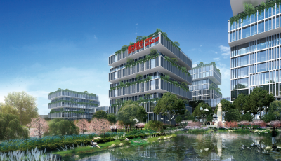 德才股份的长效生长之道：根植青岛，坚持高质量发展