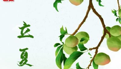6日立夏：燕子衔春去，薰风带夏来