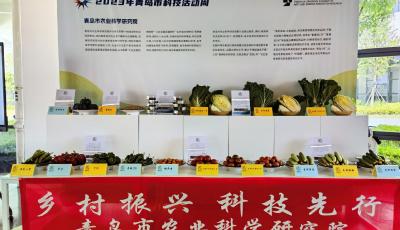 青岛市农科院24个新品种在市科技活动周集中亮相