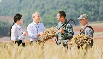 把学习贯彻习近平新时代中国特色社会主义思想不断引向深入