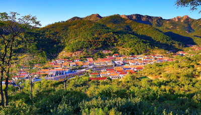 打造乡村振兴齐鲁样板 | 山色峪小樱桃  富民大产业