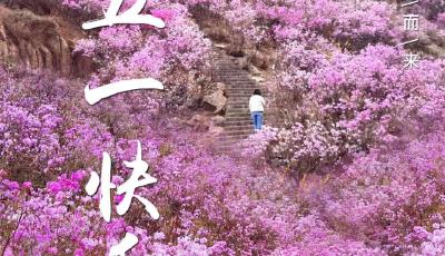 海报丨山高路远，为你而来！五一快乐！