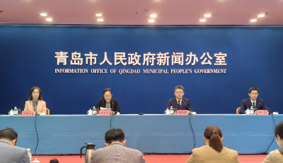 青岛发布“群众身边不正之风和腐败问题‘点题整治’”专项工作情况