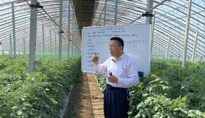 青岛市高素质农民大师李克贵：厚植爱农情怀 练就兴农本领