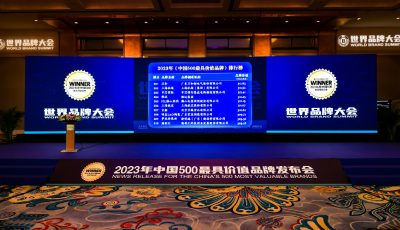 中国500最具价值品牌价值再上升，海创汇赋能背后的品牌力量