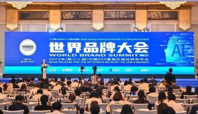 品牌价值再创新高！赛轮集团入选“中国500最具价值品牌”