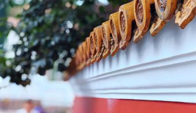 现场 |  大学路网红墙焕新亮相！美翻了