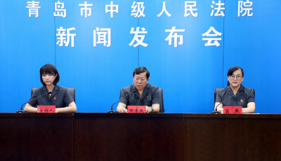 青岛中院发布帮助信息网络犯罪活动案件审判白皮书和十大典型案例