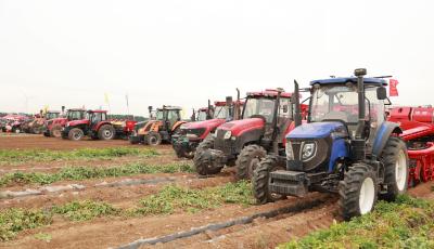 青岛市马铃薯种植面积35万亩左右 机械化率达95%以上