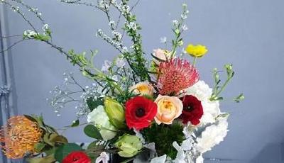 青岛公园城市建设知识答题，第二套来了！