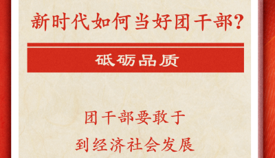 习近平寄语共青团干部：用实打实的业绩赢得党的信任、社会尊重、青年口碑