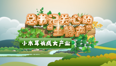 总书记关心的“土特产”｜小木耳长成大产业