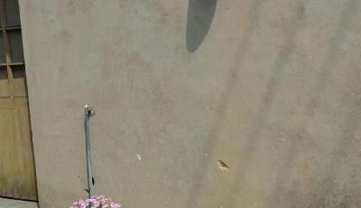 道路如砥——“千万工程”二十年记（下）