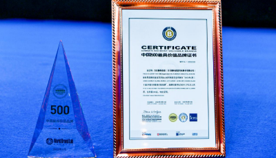 2023年度中国500最具价值品牌发布，日日顺供应链作为唯一供应链场景生态品牌入榜