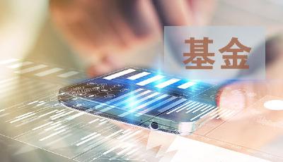 “看不见”的基金真实净值