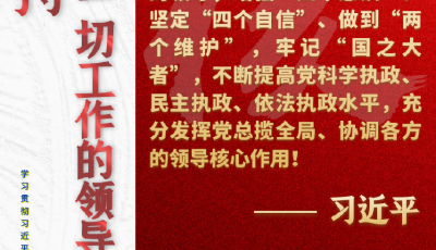 学习原声·聆听金句丨论坚持党对一切工作的领导
