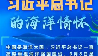 学习进行时丨习近平总书记的海洋情怀