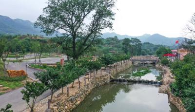 “脏乱差”变“净绿美”！青岛清除农村环境卫生死角扮靓人居环境