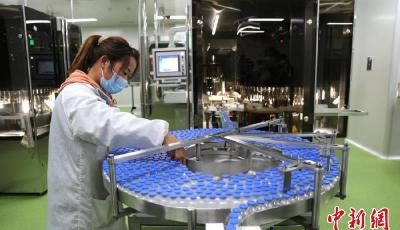 聚焦中国高质量发展 | 山东纵深推进动能转换 构建绿色低碳高质量发展新格局