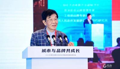 徐铭：协同，让城市与品牌共成长